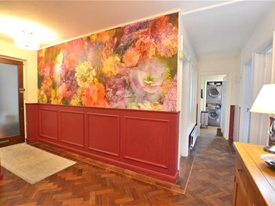 Picture 14